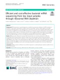 Efficient and cost-effective bacterial mRNA sequencing from low input samples through ribosomal RNA depletion