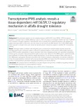 Transcriptome-IPMS analysis reveals a tissue-dependent miR156/SPL13 regulatory mechanism in alfalfa drought tolerance