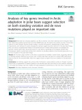 Analyses of key genes involved in Arctic adaptation in polar bears suggest selection on both standing variation and de novo mutations played an important role