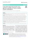 Long-read sequencing and de novo genome assembly of marine medaka (Oryzias melastigma)