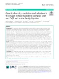 Genetic diversity, evolution and selection in the major histocompatibility complex DRB and DQB loci in the family Equidae
