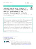 Systematic analysis of the Capsicum ERF transcription factor family: Identification of regulatory factors involved in the regulation of species-specific metabolites