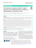 Transcriptome analysis provides insights into the non-methylated lignin synthesis in Paphiopedilum armeniacum seed