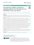 Transcriptomic profiling revealed key signaling pathways for cold tolerance and acclimation of two carp species