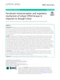 Functional characterization and regulatory mechanism of wheat CPK34 kinase in response to drought stress