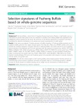 Selection signatures of Fuzhong Buffalo based on whole-genome sequences