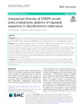 Unexpected diversity of CRISPR unveils some evolutionary patterns of repeated sequences in Mycobacterium tuberculosis