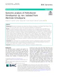 Genomic analysis of Helicobacter himalayensis sp. nov. isolated from Marmota himalayana