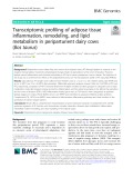 Transcriptomic profiling of adipose tissue inflammation, remodeling, and lipid metabolism in periparturient dairy cows (Bos taurus)