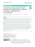 Comprehensive transcriptomic analysis provides new insights into the mechanism of ray floret morphogenesis in chrysanthemum