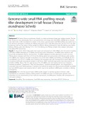 Genome-wide small RNA profiling reveals tiller development in tall fescue (Festuca arundinacea Schreb)