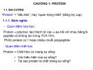 Bài giảng Hóa sinh đại cương - Chương 1: Protein