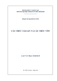 Luận văn Thạc sĩ Kinh tế: Cấu trúc tài sản và cấu trúc vốn