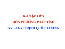 Bài tập lớn môn Phương pháp tính - Th.S Trịnh Quốc Lương