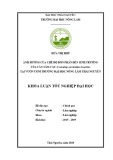 Khoá luận tốt nghiệp Đại học: Ảnh hưởng của chế độ bón phân đến sinh trưởng của cây Sâm cau (Curculigo orchioides Gaertn ) tại vườn ươm trường Đại học Nông lâm Thái Nguyên