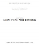 Giáo trình Kiểm toán môi trường: Phần 2 - Cao Trường Sơn