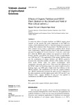 Effects of organic fertilizer and HB101 plant vitalizer on the growth and yield of rice (Oryza sativa L.)