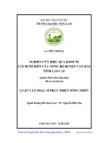 Luận văn Thạc sĩ Phát triển nông thôn: Nghiên cứu hiệu quả kinh tế cây Bưởi Diễn của nông hộ huyện Văn Bàn, tỉnh Lào Cai