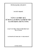 Luận văn Thạc sĩ Quản trị nhân lực: Nâng cao hiệu quả sử dụng lao động tại Bệnh viện Tai Mũi Họng Trung ương