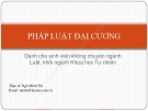 Bài giảng Pháp luật đại cương: Bài 3 - ThS. Ngô Minh Tín