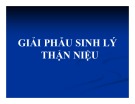 Bài giảng Giải phẫu sinh lý - Bài 9: Giải phẫu sinh lý thận niệu