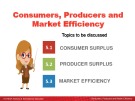 Lecture Microeconomics - Chapter 5: Consumers, Producers and the Efficiency