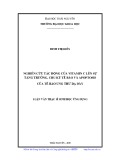 Luận văn Thạc sĩ Sinh học ứng dụng: Nghiên cứu tác động của Vitamin C lên sự tăng trưởng, chu kỳ tế bào và apoptosis của tế bào ung thư dạ dày