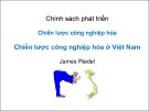 Bài giảng Chính sách phát triển: Chiến lược công nghiệp hóa ở Việt Nam