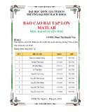 Báo cáo bài tập lớn Matlab - Môn: Đại số tuyến tính