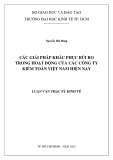 Luận văn Thạc sĩ Kinh tế: Các giải pháp khắc phục rủi ro trong hoạt động của các Công ty kiểm toán Việt Nam hiện nay