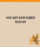 Sáng kiến kinh nghiệm Mầm non: Một số biện pháp giúp trẻ 4-5 tuổi học tốt môn tạo hình