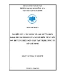 Luận văn Thạc sĩ Kinh tế: Nghiên cứu các nhân tố ảnh hưởng đến lòng trung thành của người tiêu dùng đối với thương hiệu bột giặt tại thị trường thành phố Hồ Chí Minh