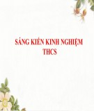 Sáng kiến kinh nghiệm THCS: Sử dụng lời bình trong giờ dạy học môn Ngữ văn ở trường Trung học cơ sở