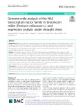 Genome-wide analysis of the NAC transcription factor family in broomcorn millet (Panicum miliaceum L.) and expression analysis under drought stress