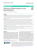 Discovery of fibrillar adhesins across bacterial species