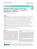 Repetitive DNA content in the maize genome is uncoupled from population stratification at SNP loci