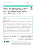 Genome wide screening and comparative genome analysis for Meta-QTLs, orthoMQTLs and candidate genes controlling yield and yield-related traits in rice