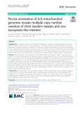 Precise annotation of tick mitochondrial genomes reveals multiple copy number variation of short tandem repeats and one transposon-like element