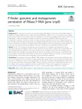 P finder: Genomic and metagenomic annotation of RNase P RNA gene (rnpB)