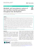 Metabolic and transcriptomic analysis of two Cucurbita moschata germplasms throughout fruit development