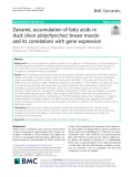 Dynamic accumulation of fatty acids in duck (Anas platyrhynchos) breast muscle and its correlations with gene expression