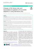 Changes in life history traits and transcriptional regulation of Coccinellini ladybirds in using alternative prey