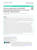 Genome-wide analysis of MicroRNAmessenger RNA interactome in ex-vivo gill filaments, Anguilla japonica