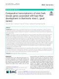 Comparative transcriptomics of stem bark reveals genes associated with bast fiber development in Boehmeria nivea L. gaud (ramie)
