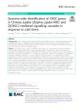 Genome-wide identification of CNGC genes in Chinese jujube (Ziziphus jujuba Mill.) and ZjCNGC2 mediated signalling cascades in response to cold stress