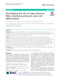 Investigating the role of super-enhancer RNAs underlying embryonic stem cell differentiation