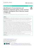 Identification of transcriptome and fluralaner responsive genes in the common cutworm Spodoptera litura Fabricius, based on RNA-seq