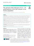 The genome-wide landscape of C:G > T:A polymorphism at the CpG contexts in the human population