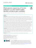 Whole-genome sequencing of Puccinia striiformis f. sp. tritici mutant isolates identifies avirulence gene candidates