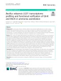 Bacillus velezensis LG37: Transcriptome profiling and functional verification of GlnK and MnrA in ammonia assimilation